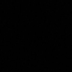 Meet your Posher, Brooklyn